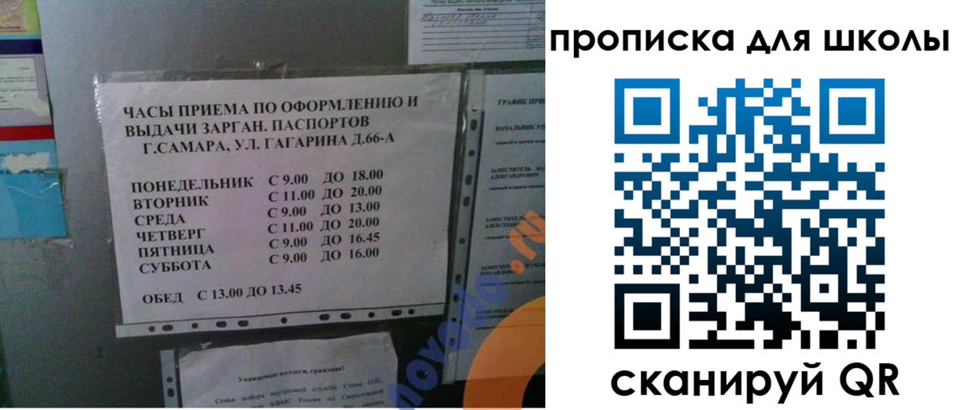 где прописаться в Калининградской области